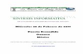Sintesis Informativa 230211