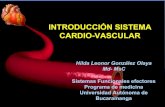 Vision panorámica sistema cardiovascular  subsistemas funcionales cardíacos