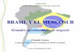 Presentación Brasil I León Jornadas Mercosur