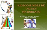 Hidrocoloies microbianos