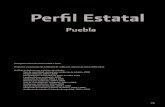 Networkvial: estadisticas de seguridad vial del estado de Puebla durante el 2008