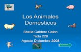 Los animales-domesticos-931