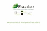 Presentacion escalae calidad-en-la-educacion tucuman-2011
