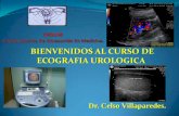 Bienvenidos al curso de urologia   celso
