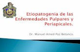 Etiopatogenia de las enfermedades pulpares y periapicales