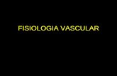 Fisiologia vascular