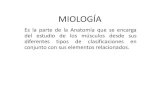 MIOLOGIA (movimiento muscular)