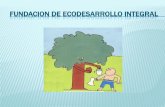 VI Encuentro RENAFIPSE - Fundación Ecodesarrollo Integral