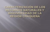 Caracterización de los recursos naturales y biodiversidad de terminado