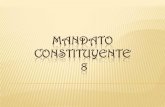 Mandato constituyente 8