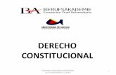 Derecho constitucional sept nov 2011