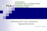 Economía de la producción primaria en Entre Ríos