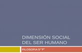 Dimensión social del ser humano