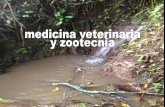 Medicina veterinaria y zootecnia.