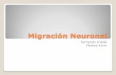 Migraci³n neuronal