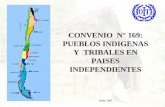 Resumido Convenio 169, Pueblos Indigenas Y Tribales En Paise