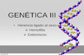 Genética: Leyes de Mendel.
