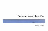Derecho Constitucional I Chile: Recurso de Protección
