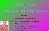 Ii Encuentro Internacional En Goya