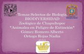 Temas selectos de biología "Visita al Zoológico de Chapultepec"