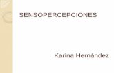 Sensopercepción por Karina Hernández