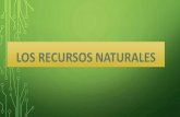 Los Recursos Naturales y el Impacto Ambiental en Venezuela(completo)