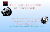 Introduccion A La Psicologia Verano 2007