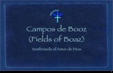 Campos De Booz Pp