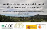 Emmanuel zc   avances evaluacion impacto cc cultivos andinos