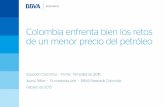 Presentación Situación Colombia 1T2015