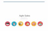 Agiles Sales (Español)