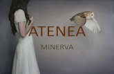 Atenea minerva