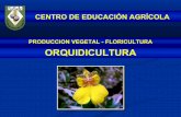 Introducción al Cultivo de las Orquídeas