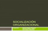 Socialización organizacional