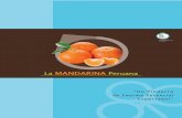MINAG - Boletin Mandarina 2014