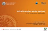 Rol del Consultor Nacional MuNet Costa Rica 2015