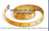 Measurment project