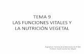 Tema 9 .las funciones vegetales. la nutrición vegetal.