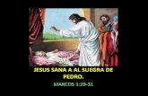 MILAGROS DE JESUS N 11 "JESUS SANA A LA SUEGRA DE PEDRO"