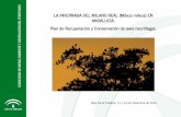 La invernada del Milano real (Milvus milvus) en Andalucía. Plan de Recuperación y Conservación de aves necrófagas