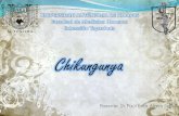 Fiebre por Chikungunya