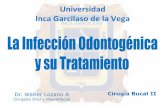 TEMA 15 ( CIRUGÍA II - Dr. WALTER LOZANO ) INFECCIÓN ODONTOGÉNICA Y SU TRATAMIENTO