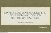 Modelos Animales De InvestigacióN En Neurociencias