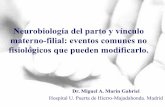 "Neurobiología del parto y vínculo materno-filial: eventos no fisiológicos que pueden modificarlo" Dr. Miguel Ángel Marín Gabriel