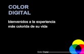 Color digital C Franco
