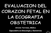 Ecografia Basica Del Corazon Fetal