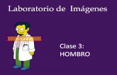 Clase 3 - Hombro