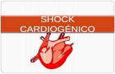 Shock cardiogénico