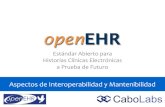 openEHR: aspectos de interoperabilidad y mantenibilidad