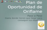 Explicacion plan de oportunidad Oriflame 2013